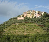 Cinque Terre